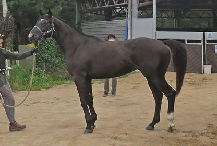 ŷ���¾� ����