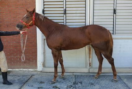 �����罺�� ����