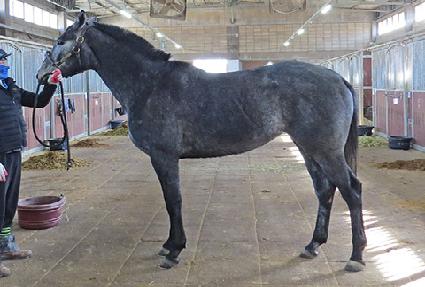 ������ ����