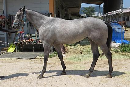 ��Ƽ�ڿ��� ����