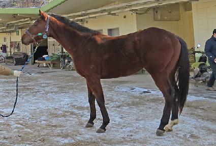 �ݺ���ȣ ����