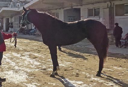 �ú���Ʈ ����