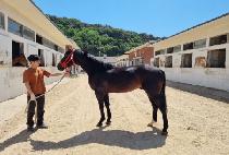 ����Ʈ�޾� (NIGHTMARE) ����