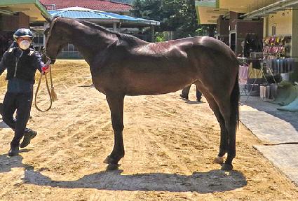 �����۽�Ʈ ����