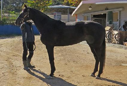 �����Һ� ����