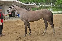 ��ٸ����� (BAEDARI GONGJU) ����