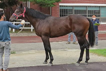 ���������� ����