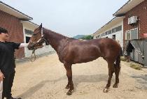 ���� (NALA) ����