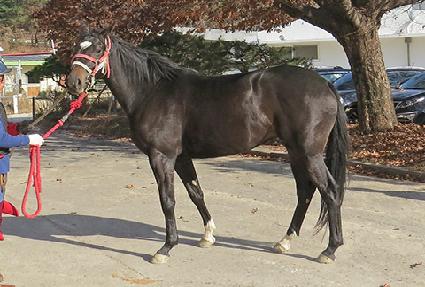 ����Ǯ���� ����