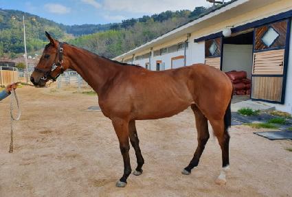 ������� ����