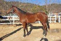 ����ó�� (YEONGUNG CHEOREOM) ����