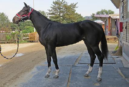 ��ƼǮ��ε� ����