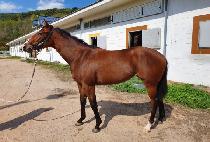 õ���ǳ뷡 (CHEONSAUI NORAE) ����