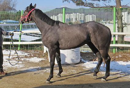 ����ȣ�ǹ� ����