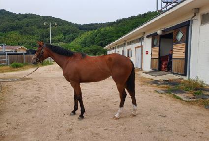 �ַ��ٵ� ����