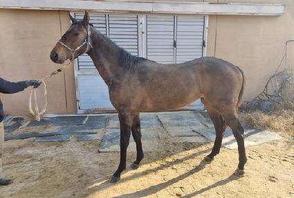 ���ڹ���Ʈ ����