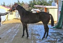 SEONGEUN RISING picture