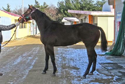 ��������¡ ����