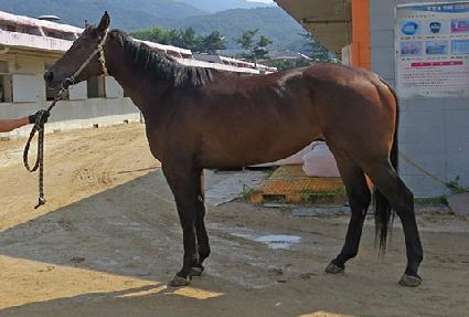 ���� ����