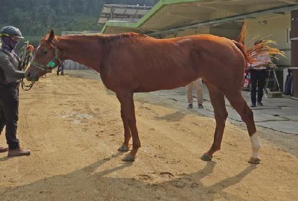 ���ϵ��ĵ� ����