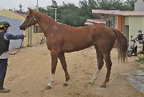 ���ο¹� (SHINE ON ME) ����