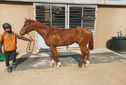 ���뺸�� ����