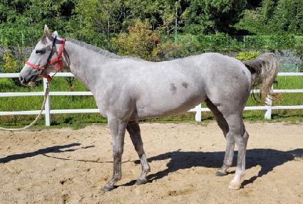 ȭ����ȭ ����