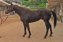 �Ͼ���� (HAYAN WANGJA) ����