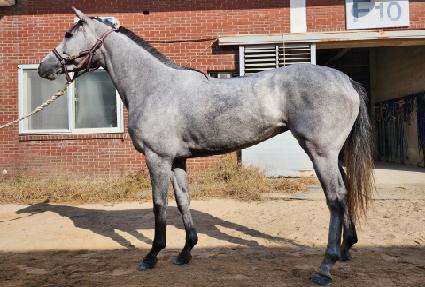 ��õ��� ����