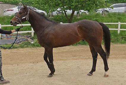 ������� ����