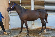 �¸�����ū (SEUNGNI TAKEN) ����