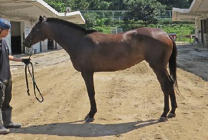 ����� ����