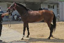 ����ũ���� (TAKE MUSIC) ����