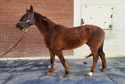 ����Ƽ ����