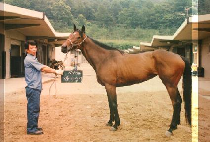 ���� ����