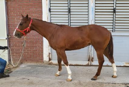 ���̽���Ÿ ����