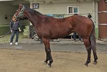 ���̼��� (MY THUNDER) ����