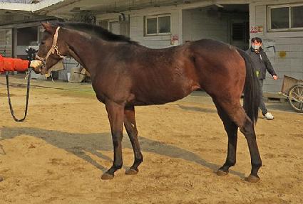 �����Ÿ�� ����