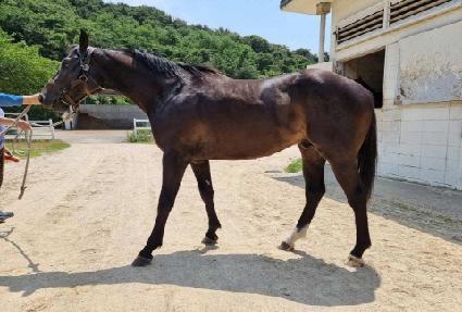 �׷���Ʈ�ε� ����