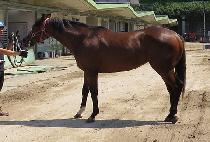 Ŭ���� (CLUB D) ����