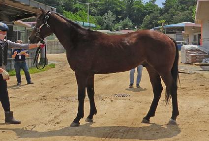 ���ֿ� ����