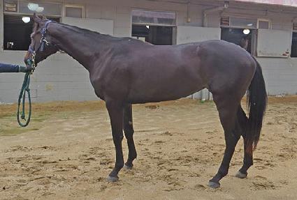 �λ��ǰ��� ����