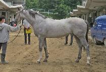 ��Ʈ (RANUT) ����