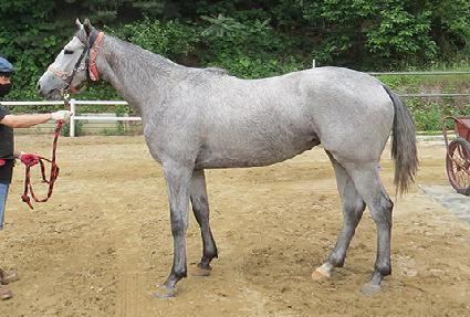 �����޺� ����