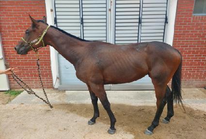 �ָ���Ŀ�� ����