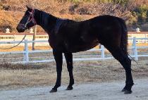 GRAND MOTION picture