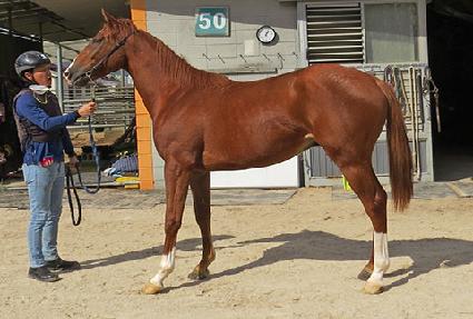 ��ö�����̵� ����