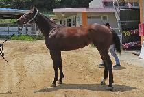 ��θ����� (BAEKDU MEOTJAENGI) ����