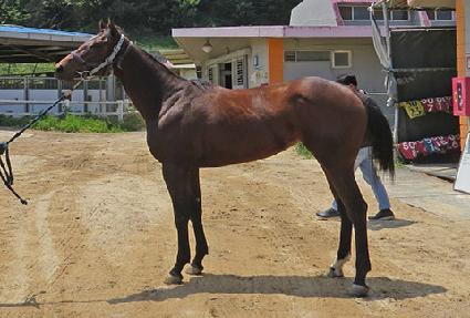 ��θ����� ����