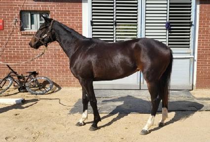 ��ũ�����̵� ����